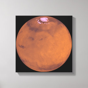 Mars 5 canvas afdruk