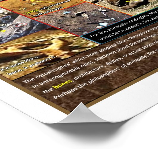 Mar's Boneyard Poster (Hoek)