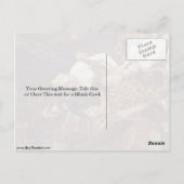 Mars en Venus door Paolo Veronese Briefkaart (Achterkant)