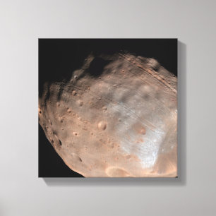 Mars maan Phobos 2 Canvas Afdruk