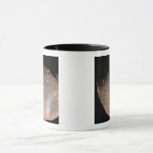 Mars maan Phobos 2 Mok (Midden)