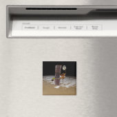 Mars Odyssey ruimtevaartuig Magneet (Insitu (Vaatwasser))