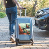 Mars Olympus Mons Hoogste vulkaan zonnestelsel Sticker (Koffer Insitu)