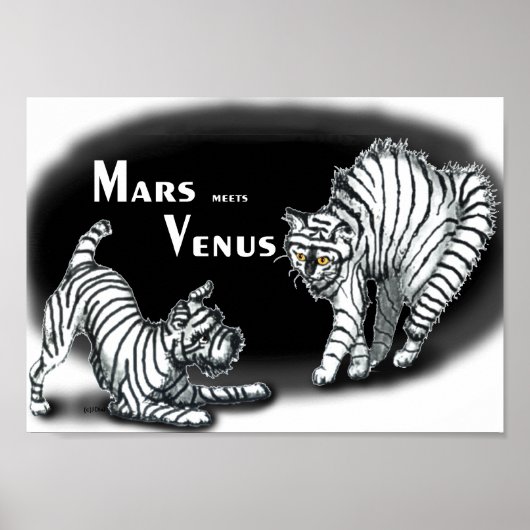 Mars ontmoet Venus Poster (Voorkant)