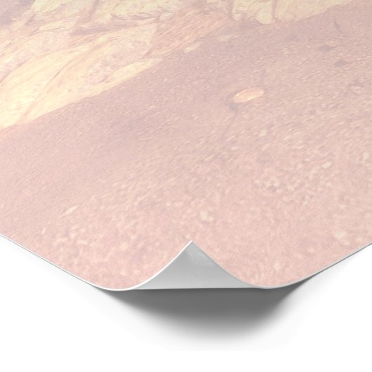 Mars Perseverance Rover met instrumenten Poster (Hoek)