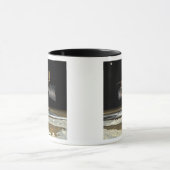 Mars Reconnaissance Orbiter 2 Mok (Midden)