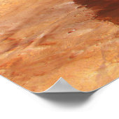 Mars Reconnaissance Orbiter 3 Poster (Hoek)