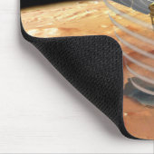 Mars Reconnaissance Orbiter Muismat (Hoek)