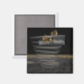 Mars Reconnaissance Orbiter's Radar op Work Magneet (Voorkant / Achterkant)