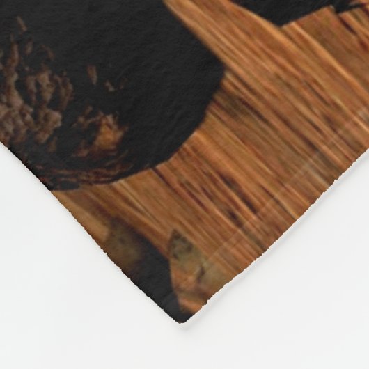 MARS ROVER FLEECE DEKEN (Hoek)