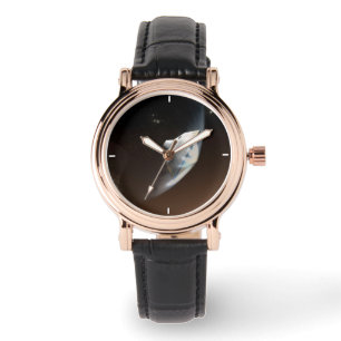 Mars Science Laboratory Aeroshell Capsule 2 Horloge