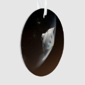 Mars Science Laboratory Aeroshell Capsule 2 Ornament (voorkant)