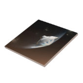 Mars Science Laboratory Aeroshell Capsule 2 Tegeltje (Zijkant)