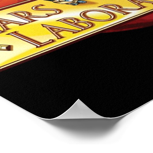 Mars Science Laboratory Mission Logo Poster (Hoek)