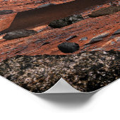 Mars Science Laboratory Poster (Hoek)