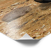 Mars Science Laboratory reist nabij een canyon Foto Afdruk (Hoek)