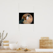 Mars Telecommunicatieorbiter Poster (Keuken)