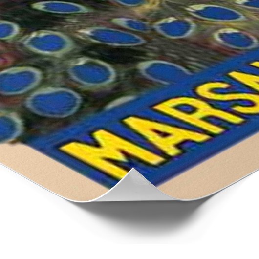 Marsala Florio Poster (Hoek)