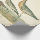 Marsh Bird Curlew Snipe Birding Cadeaupapier (Hoek)