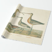 Marsh Bird Curlew Snipe Birding Cadeaupapier (Uitgerold)
