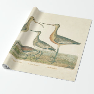 Marsh Bird Curlew Snipe Birding Cadeaupapier
