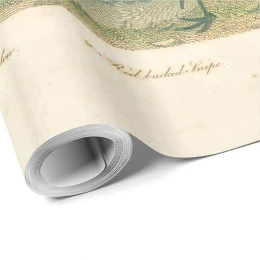 Marsh Bird Curlew Snipe Birding Cadeaupapier (Rol Hoek)