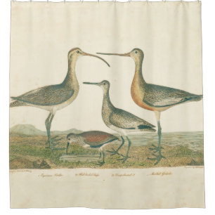 Marsh Bird Curlew Snipe Birding Douchegordijn