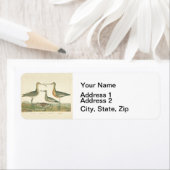 Marsh Bird Curlew Snipe Birding Etiket (Insitu)