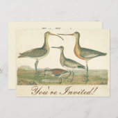 Marsh Bird Curlew Snipe Birding Kaart (Voorkant / Achterkant)