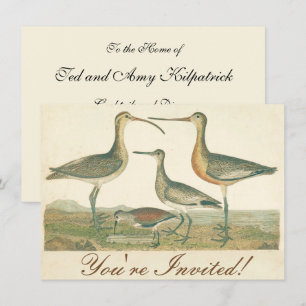 Marsh Bird Curlew Snipe Birding Kaart