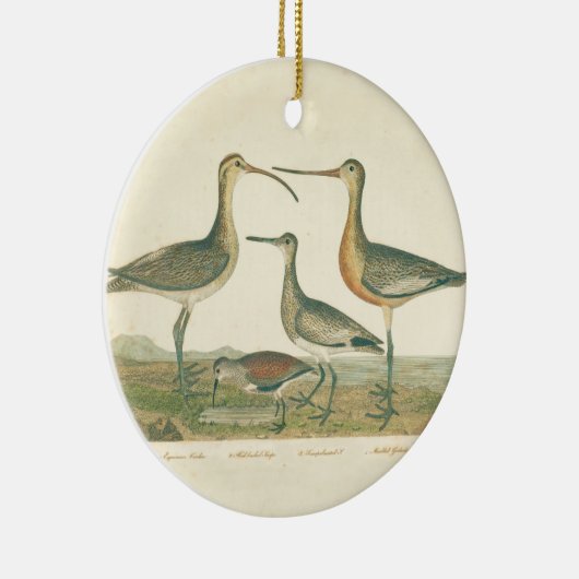 Marsh Bird Curlew Snipe Birding Keramisch Ornament (Rechts)
