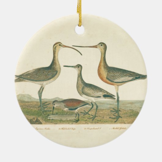 Marsh Bird Curlew Snipe Birding Keramisch Ornament (Achterkant)