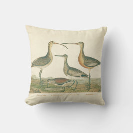 Marsh Bird Curlew Snipe Birding Kussen