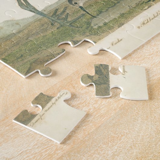 Marsh Bird Curlew Snipe Birding Legpuzzel (Zijkant)