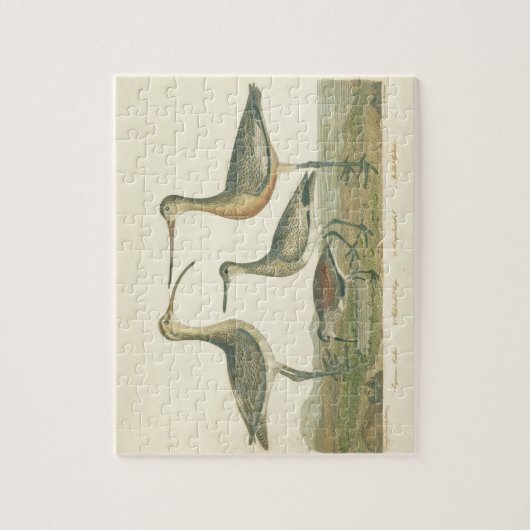 Marsh Bird Curlew Snipe Birding Legpuzzel (Verticaal)