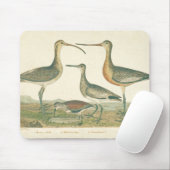 Marsh Bird Curlew Snipe Birding Muismat (Met muis)