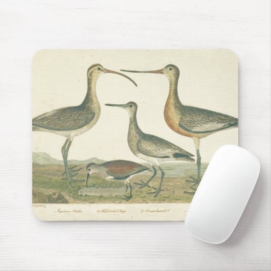 Marsh Bird Curlew Snipe Birding Muismat (Met muis)