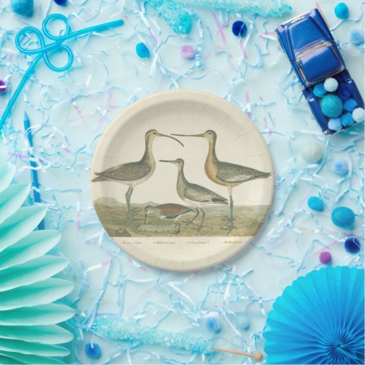 Marsh Bird Curlew Snipe Birding Papieren Bordje (Feest)