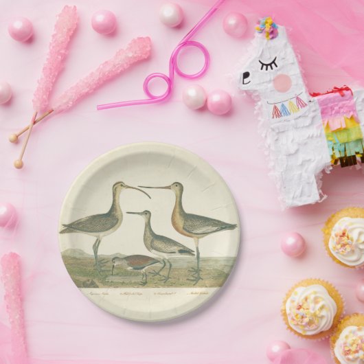 Marsh Bird Curlew Snipe Birding Papieren Bordje (Feest)