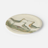 Marsh Bird Curlew Snipe Birding Papieren Bordje (Gekanteld)