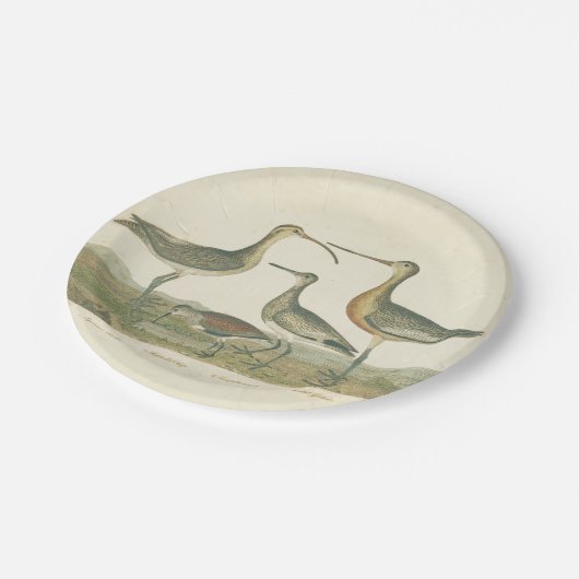 Marsh Bird Curlew Snipe Birding Papieren Bordje (Gekanteld)