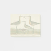 Marsh Bird Curlew Snipe Birding Post-it® Notes (Voorkant)