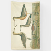 Marsh Bird Curlew Snipe Birding Spandoek (Verticaal)