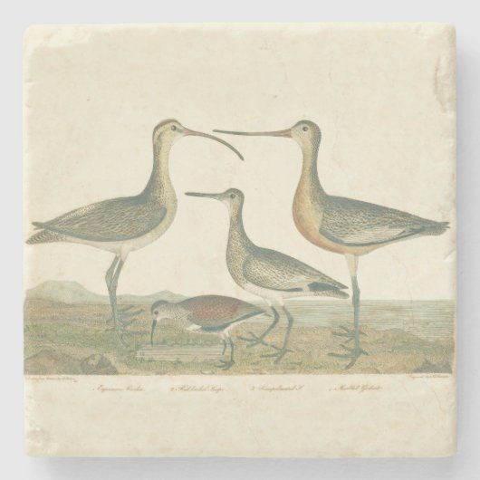 Marsh Bird Curlew Snipe Birding Stenen Onderzetter (Voorkant)