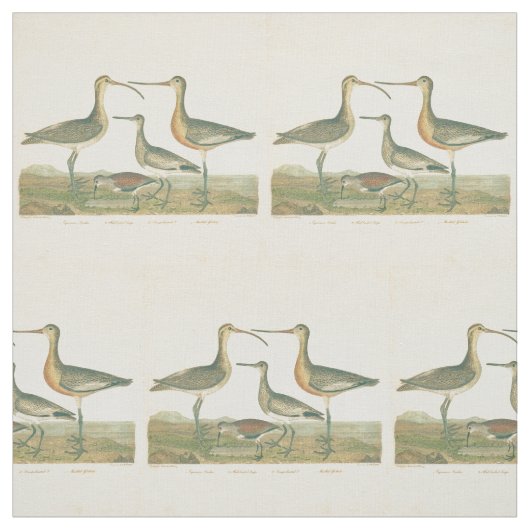 Marsh Bird Curlew Snipe Birding Stof (Swatch)