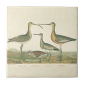 Marsh Bird Curlew Snipe Birding Tegeltje (Voorkant)