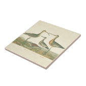 Marsh Bird Curlew Snipe Birding Tegeltje (Zijkant)