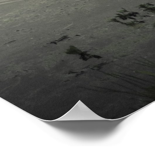 Marsh Bird op de Shore Poster (Hoek)