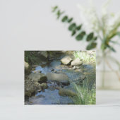 Marsh Creek in lente Briefkaart (Staand voorkant)
