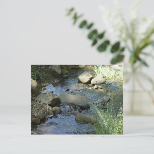 Marsh Creek in lente Briefkaart (Staand voorkant)